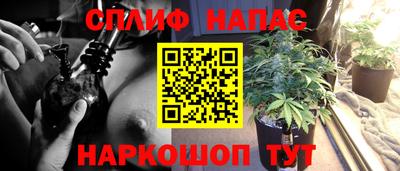 PSILOCYBIN Гусиноозёрск