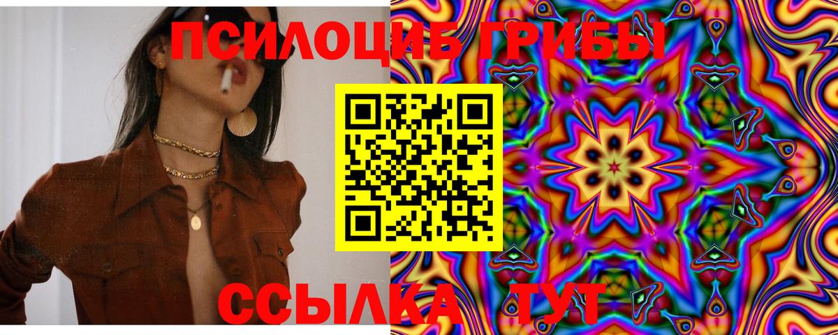 Псилоцибиновые грибы прущие грибы  Псилоцибиновые грибы ЛСД  Михайловка 