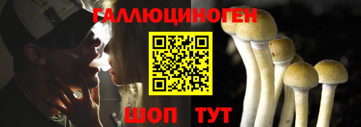 Галлюциногенные грибы прущие грибы Михайловка